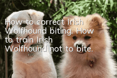 How to correct Irish Wolfhound biting. How to train Irish Wolfhound not to bite.