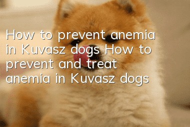 How to prevent anemia in Kuvasz dogs How to prevent and treat anemia in Kuvasz dogs