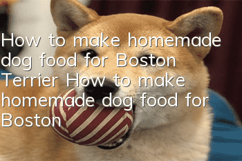 How to make homemade dog food for Boston Terrier? How to make homemade dog food for Boston Terrier?