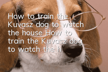 How to train the Kuvasz dog to watch the house? How to train the Kuvasz dog to watch the house?