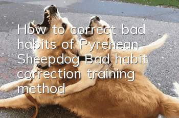 How to correct bad habits of Pyrenean Sheepdog? Bad habit correction training method