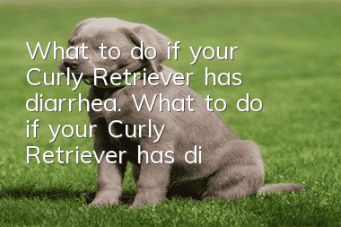 What to do if your Curly Retriever has diarrhea. What to do if your Curly Retriever has diarrhea.