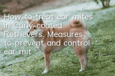 How to treat ear mites in Curly-coated Retrievers. Measures to prevent and control ear mites in Curly-coated Retrievers.