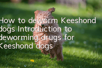 How to deworm Keeshond dogs? Introduction to deworming drugs for Keeshond dogs