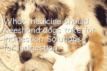 What medicine should Keeshond dogs take for indigestion? Solutions for indigestion