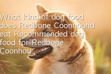 What kind of dog food does Redbone Coonhound eat? Recommended dog food for Redbone Coonhound