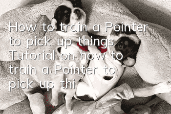 How to train a Pointer to pick up things Tutorial on how to train a Pointer to pick up things