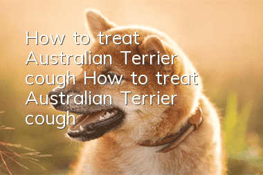 How to treat Australian Terrier cough How to treat Australian Terrier cough