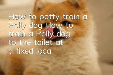 How to potty train a Polly dog? How to train a Polly dog to the toilet at a fixed location?