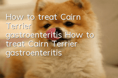 How to treat Cairn Terrier gastroenteritis How to treat Cairn Terrier gastroenteritis