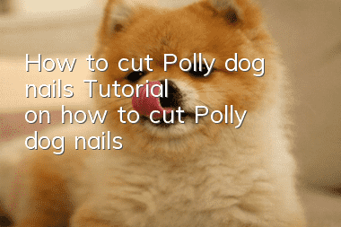 How to cut Polly dog nails Tutorial on how to cut Polly dog nails