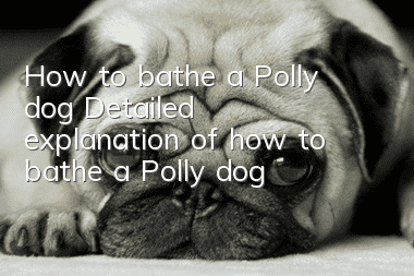 How to bathe a Polly dog Detailed explanation of how to bathe a Polly dog