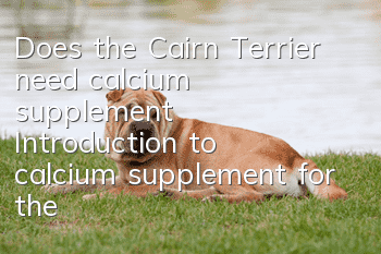 Does the Cairn Terrier need calcium supplement? Introduction to calcium supplement for the Cairn Terrier