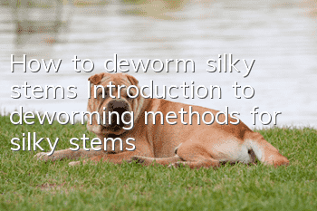 How to deworm silky stems Introduction to deworming methods for silky stems