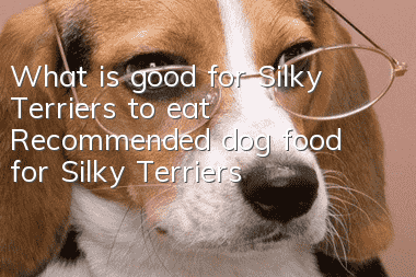 What is good for Silky Terriers to eat? Recommended dog food for Silky Terriers