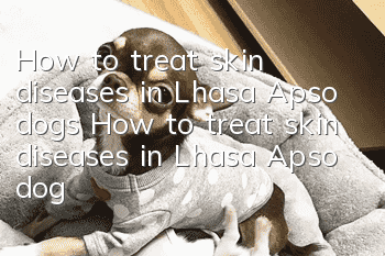 How to treat skin diseases in Lhasa Apso dogs How to treat skin diseases in Lhasa Apso dogs