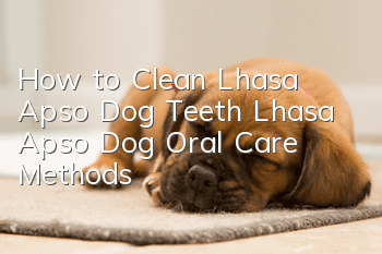How to Clean Lhasa Apso Dog Teeth Lhasa Apso Dog Oral Care Methods