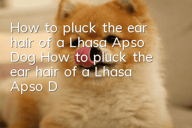 How to pluck the ear hair of a Lhasa Apso Dog? How to pluck the ear hair of a Lhasa Apso Dog?