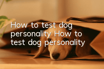How to test dog personality How to test dog personality