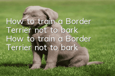 How to train a Border Terrier not to bark? How to train a Border Terrier not to bark?