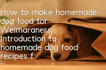 How to make homemade dog food for Weimaraners. Introduction to homemade dog food recipes for Weimaraners.