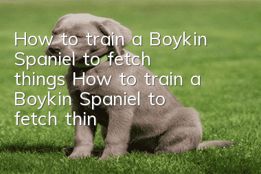 How to train a Boykin Spaniel to fetch things? How to train a Boykin Spaniel to fetch things?