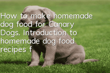 How to make homemade dog food for Canary Dogs. Introduction to homemade dog food recipes for Spanish Canary Dogs.