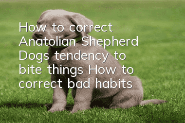 How to correct Anatolian Shepherd Dog's tendency to bite things? How to correct bad habits