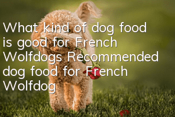 What kind of dog food is good for French Wolfdogs? Recommended dog food for French Wolfdogs