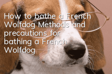 How to bathe a French Wolfdog? Methods and precautions for bathing a French Wolfdog