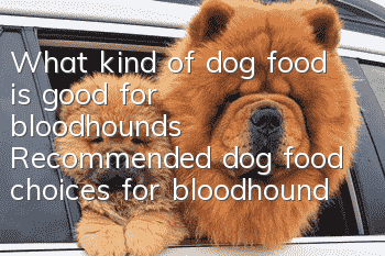 What kind of dog food is good for bloodhounds? Recommended dog food choices for bloodhounds