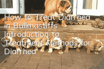 How to Treat Diarrhea in Bullmastiffs Introduction to Treatment Methods for Diarrhea