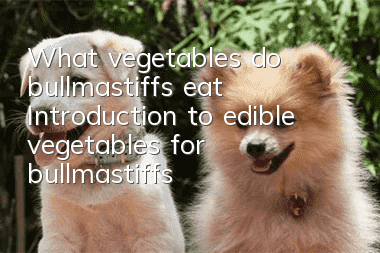 What vegetables do bullmastiffs eat? Introduction to edible vegetables for bullmastiffs