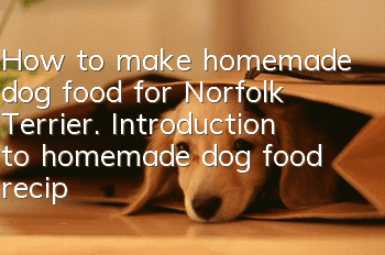 How to make homemade dog food for Norfolk Terrier. Introduction to homemade dog food recipe for Norfolk Terrier.