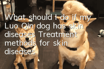 What should I do if my Luo Qin dog has skin diseases? Treatment methods for skin diseases