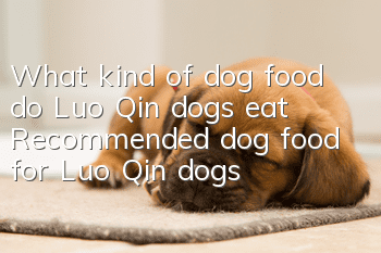 What kind of dog food do Luo Qin dogs eat? Recommended dog food for Luo Qin dogs
