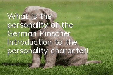 What is the personality of the German Pinscher? Introduction to the personality characteristics of the German Pinscher