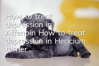 How to treat depression in Affenpin? How to treat depression in Hericium terrier