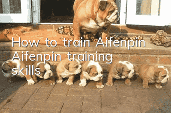 How to train Aifenpin Aifenpin training skills