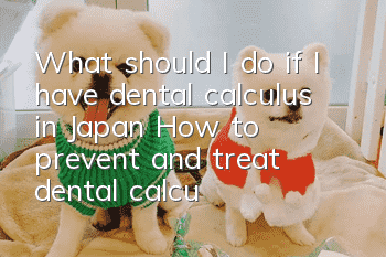 What should I do if I have dental calculus in Japan? How to prevent and treat dental calculus in Japan?