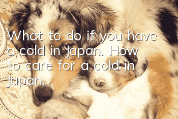 What to do if you have a cold in Japan. How to care for a cold in Japan.