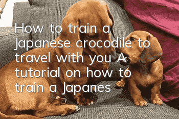 How to train a Japanese crocodile to travel with you? A tutorial on how to train a Japanese crocodile to travel with you