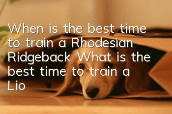 When is the best time to train a Rhodesian Ridgeback? What is the best time to train a Lion Hound?
