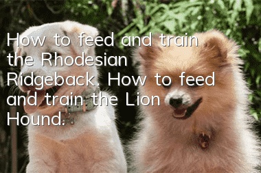 How to feed and train the Rhodesian Ridgeback. How to feed and train the Lion Hound.