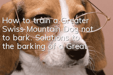 How to train a Greater Swiss Mountain Dog not to bark. Solutions to the barking of a Greater Swiss Mountain Dog.