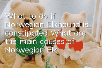 What to do if Norwegian Elkhound is constipated? What are the main causes of Norwegian Elkhound constipation?