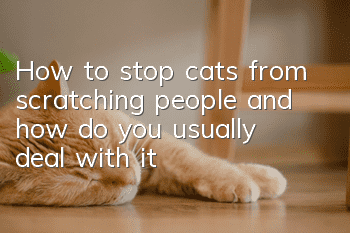 How to stop cats from scratching people, and how do you usually deal with it?