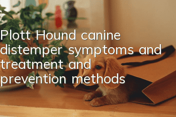 Plott Hound canine distemper symptoms and treatment and prevention methods
