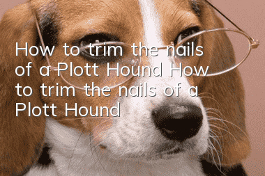 How to trim the nails of a Plott Hound How to trim the nails of a Plott Hound