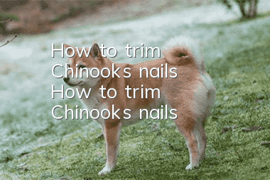 How to trim Chinook's nails How to trim Chinook's nails